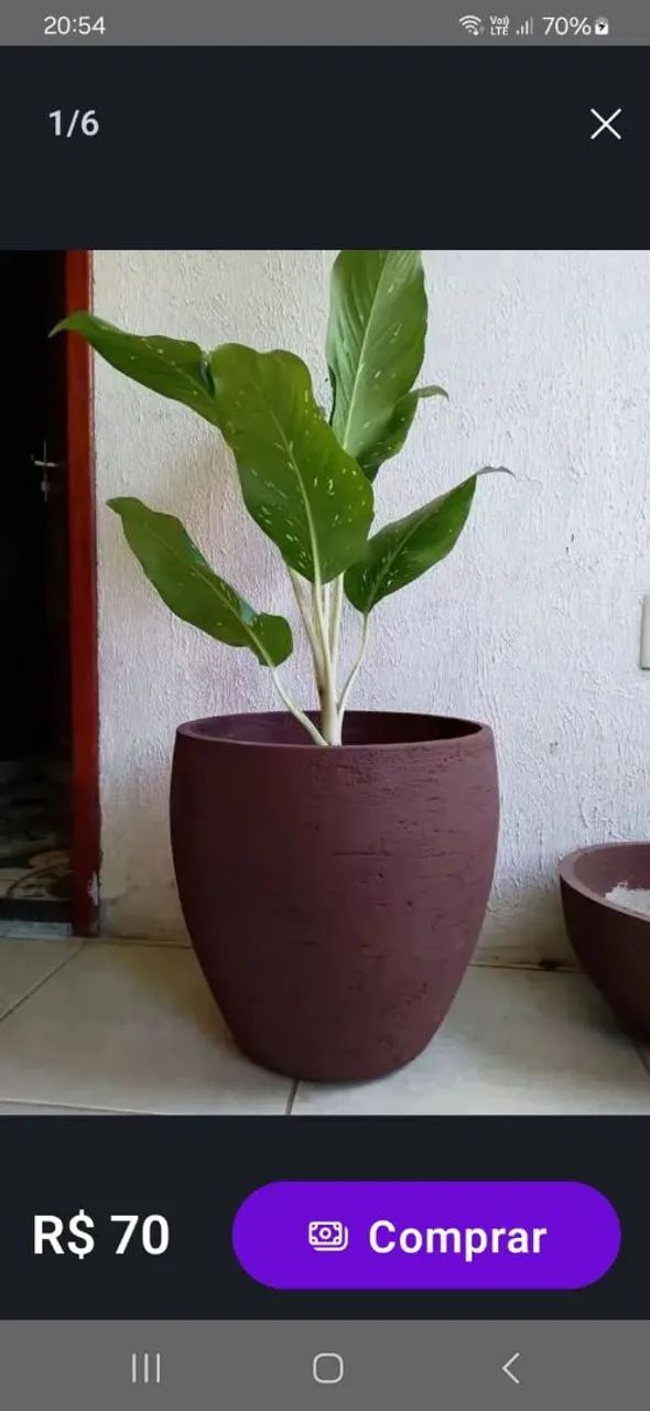 Terra preta adubada - Foto 2