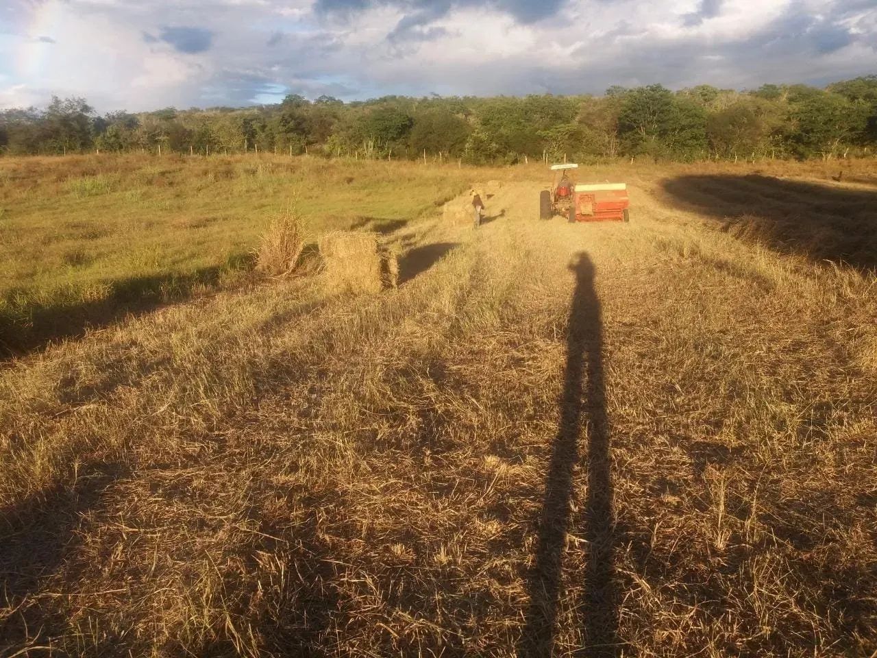 Fazenda à Venda - Foto 5