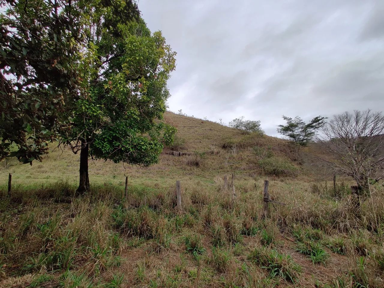 Fazenda em Afonso Cláudio - ES - Foto 5