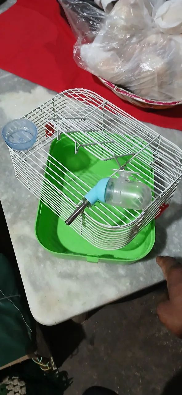 Gaiola de ramster  - Foto 2