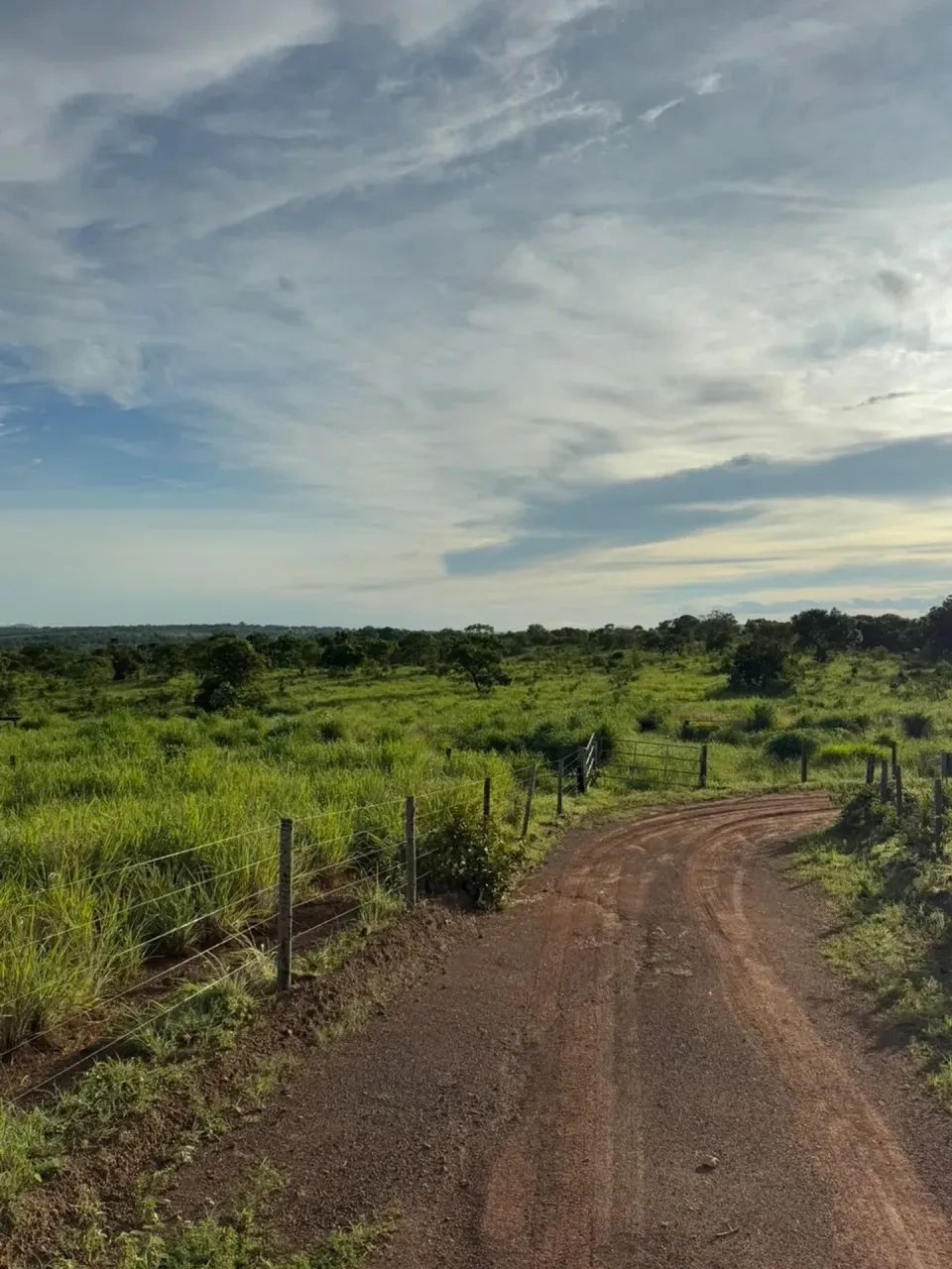 Imóvel  Zona Rural - Uruaçu - GO - Foto 5