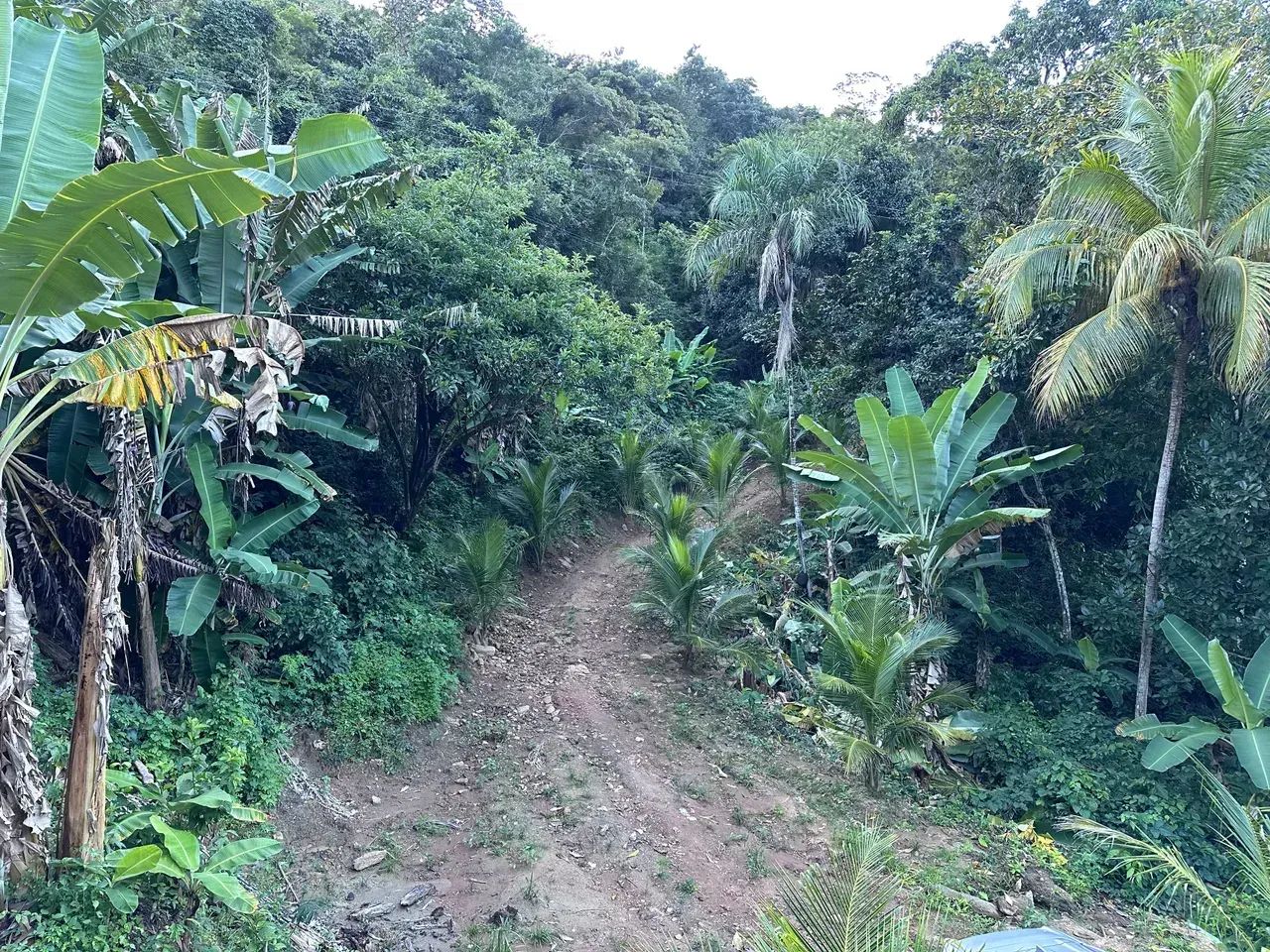 Lotes De 10X30 Na Serra De Pacoti, Refugio Dos Rios As Margens Da Ce 065! Cód. LKK5DG
