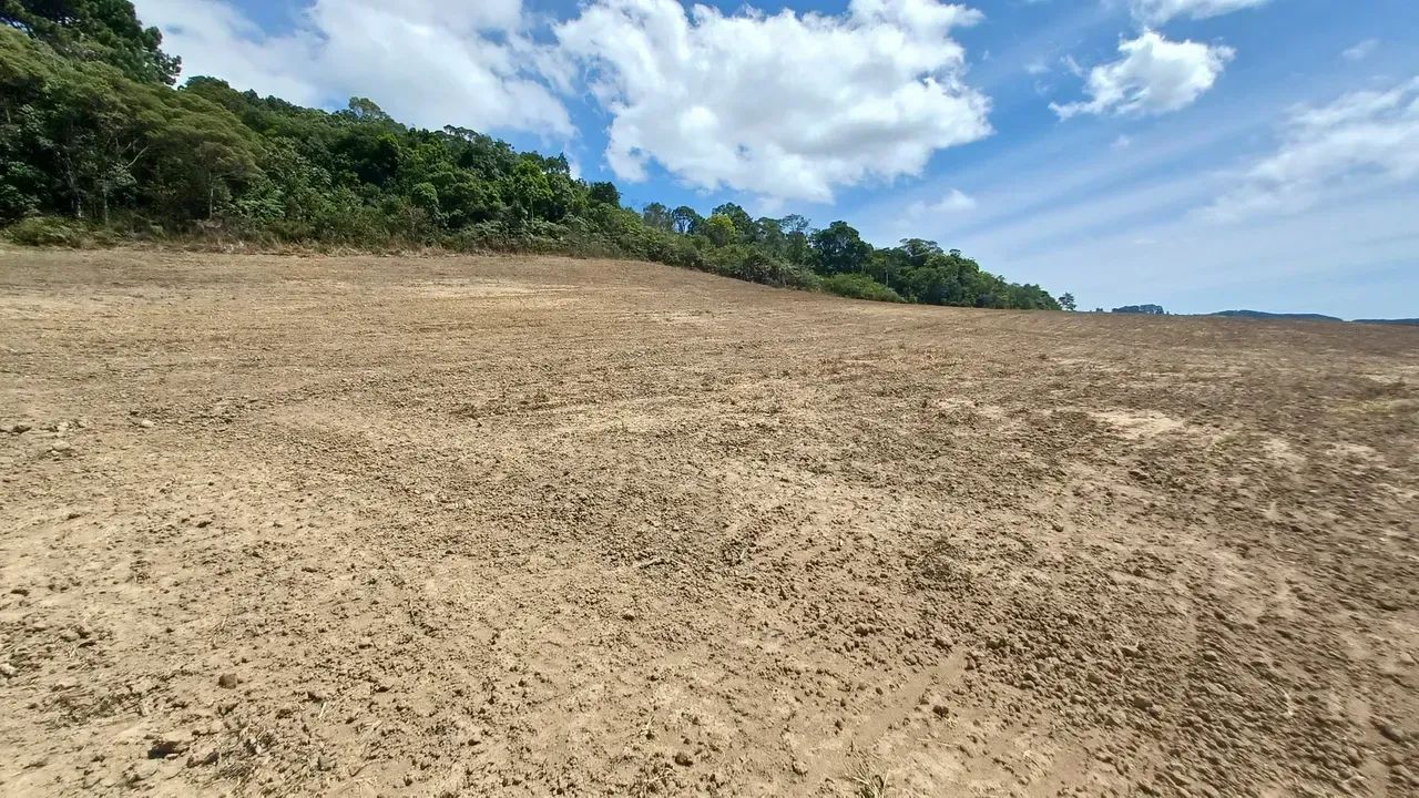 Imóvel para venda tem 110000 metros quadrados em Barro Preto - Alfredo Wagner - SC - Foto 3
