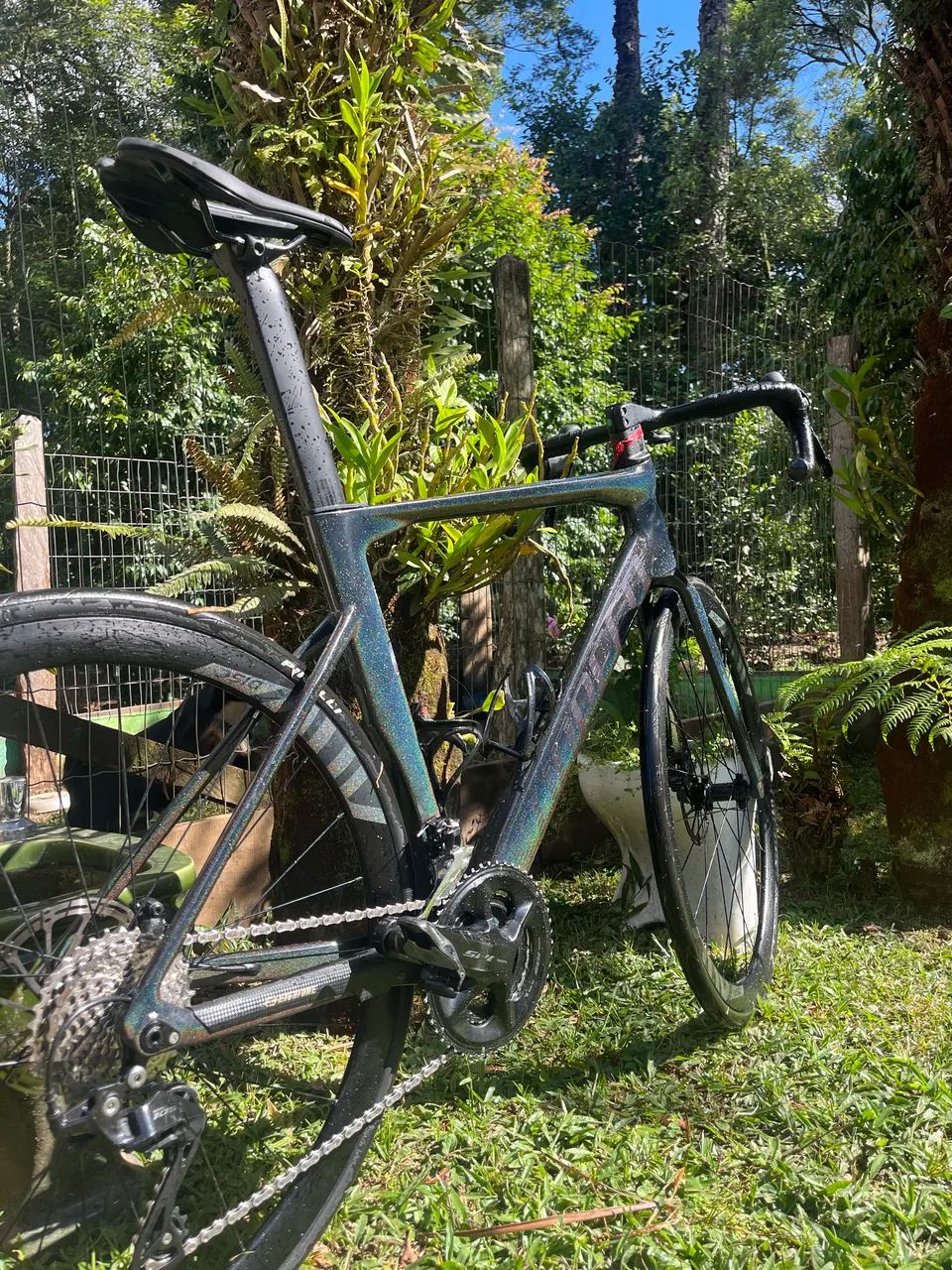 Speed carbono  - Foto 5