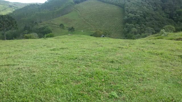 Fazenda pasto formado - Foto 7