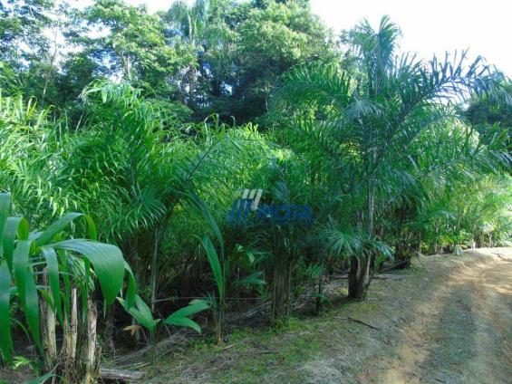 Fazenda antonina - Foto 9