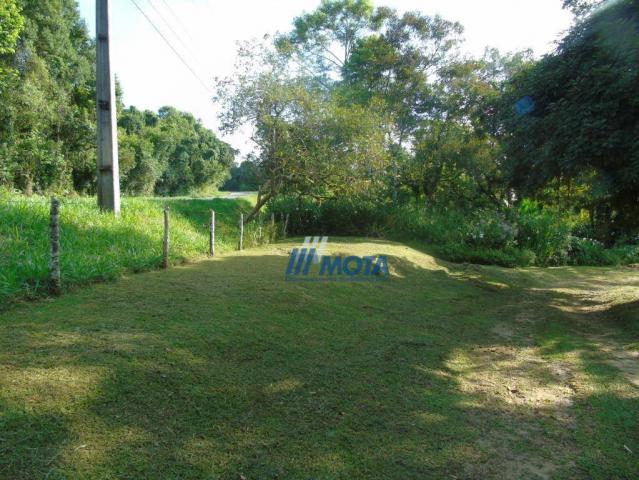 Fazenda antonina - Foto 5