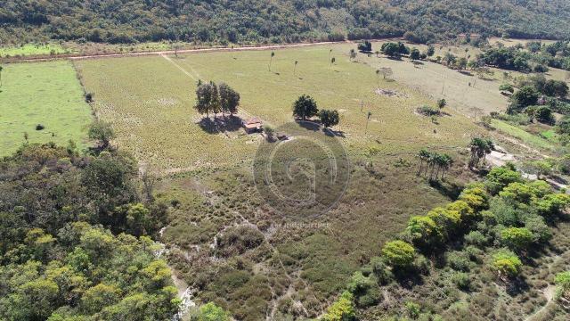 Fazenda para pecuária 650 ha na região santo antonio do leverger
