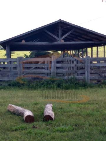 9Fazenda de 2.560 hectares para Venda, em Paranatinga / MT - Foto 12