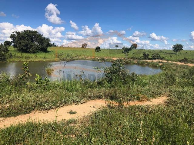 9Fazenda de 2.560 hectares para Venda, em Paranatinga / MT - Foto 14