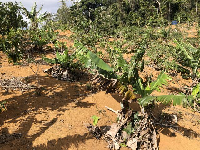 Grande oportunidade em Santa Teresa a 1,5km do asfalto - Foto 4