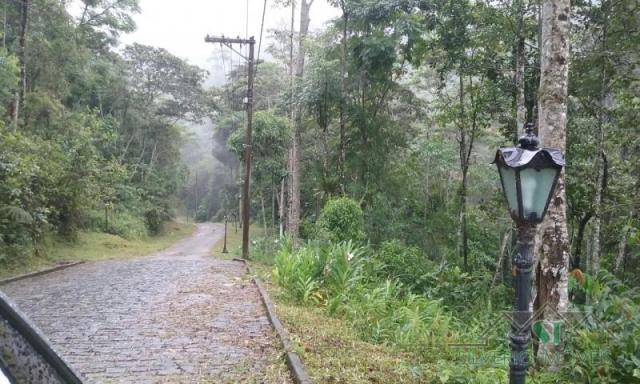 Terreno à venda em Quarteirão ingelhein, Petrópolis cod:1612 - Foto 9