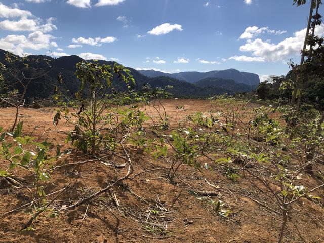 Grande oportunidade em Santa Teresa a 1,5km do asfalto - Foto 7