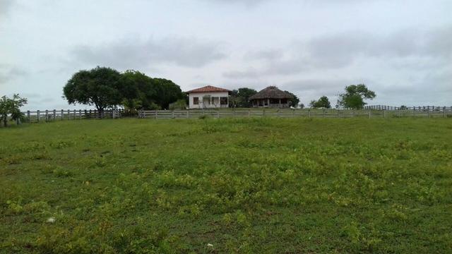 Fazenda Tocantins 1.626 ha gado pecuária soja Couto de Magalhães prox. Guaraí Palmas - Foto 13