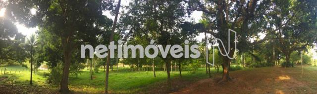 Sítio à venda em Jauá, Camaçari cod:776377 - Foto 6