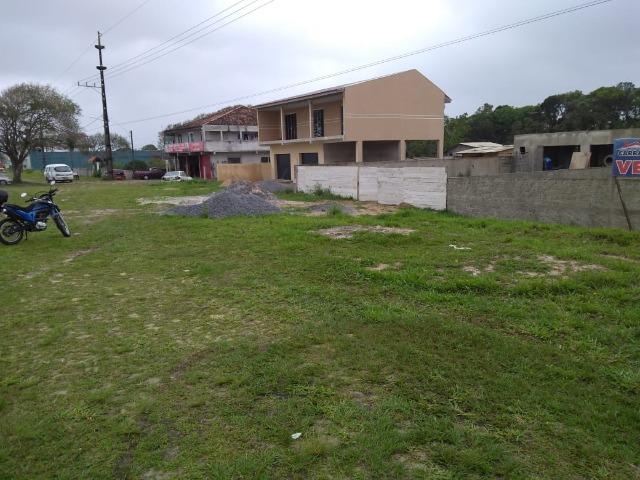Excelente oportunidade de terreno frente a rodovia e a 80 m do mar (vista aberta) - Foto 6
