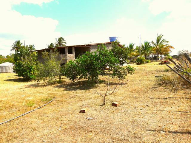 Sitio na Vila de Peladas em Caruaru - Foto 8