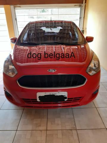 Carro Ford Ka Completo