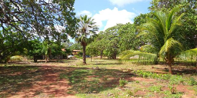 Chácara no Sitio Bom Destino, Estrada de Alagoinha. 10 km de Mossoró - Foto 16