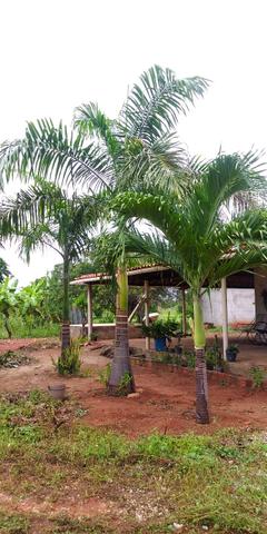 Chácara no Sitio Bom Destino, Estrada de Alagoinha. 10 km de Mossoró - Foto 18