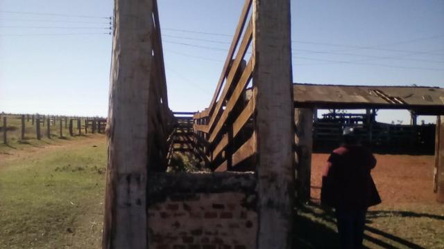 Fazenda Amanbai MS - Foto 9