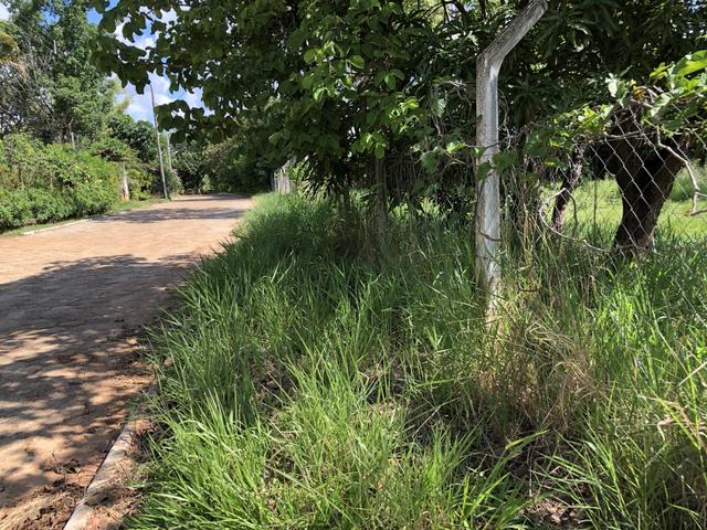 Lote Condomínio Vila Monte Verde - Foto 8