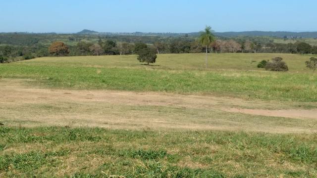 Fazenda - Foto 3