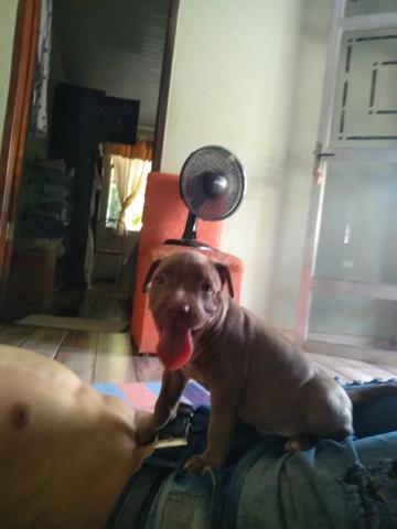 Pit monster