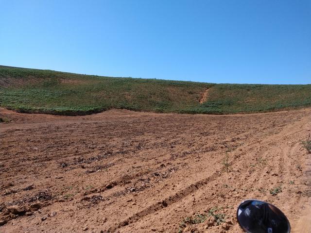 Venda de 3 alqueires de terra - Foto 4