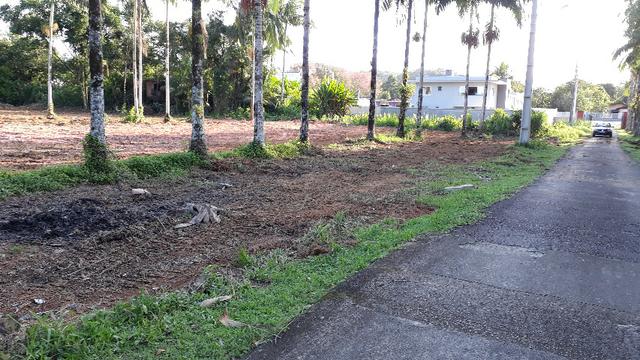 Terreno em Morretes ótimo para chácara - Foto 5