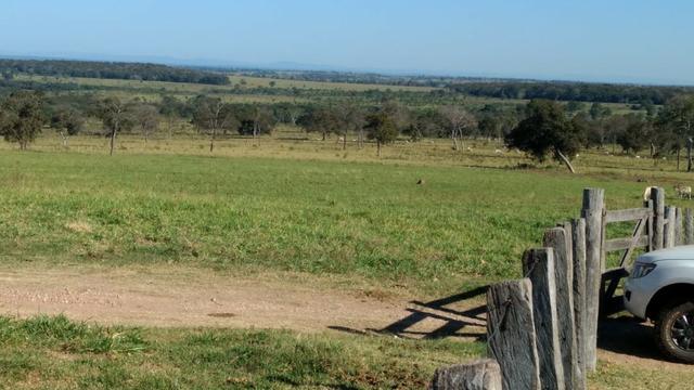 Fazenda - Foto 2