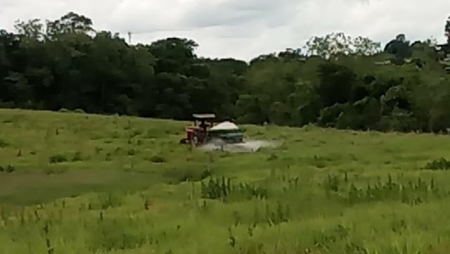 Fazenda - Foto 6