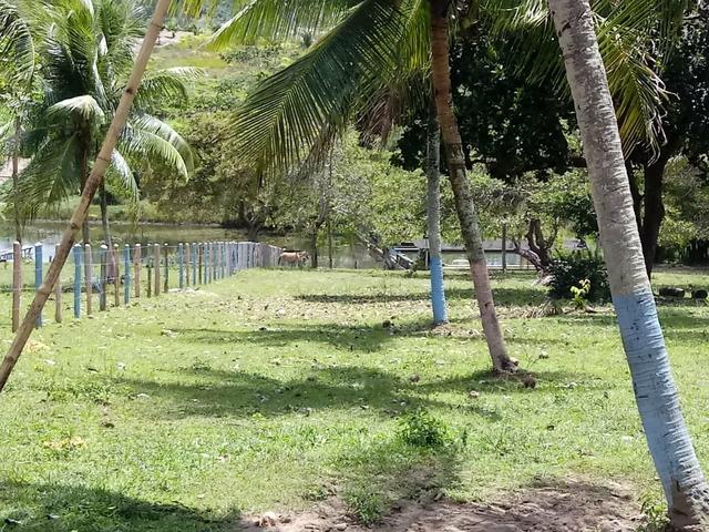 Fazenda, Água Fria, Bahia - Foto 6