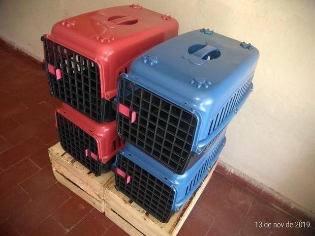 Caixa de Transporte N2 ( Vai viaja? )