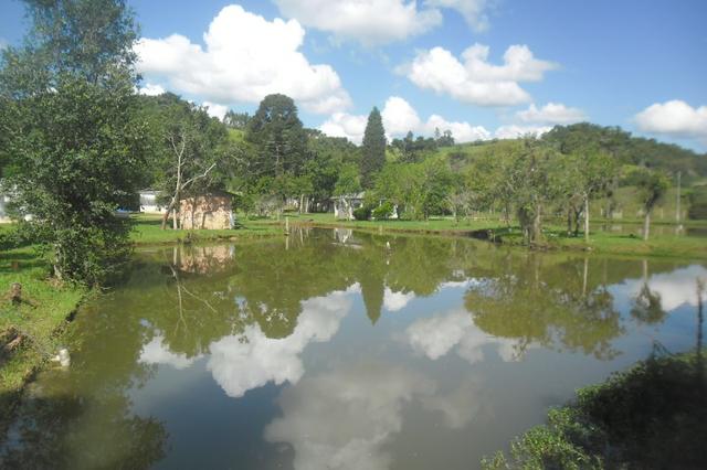Vende-se chácara em cai de baixo - Quitandinha (cód. A289) - Foto 17