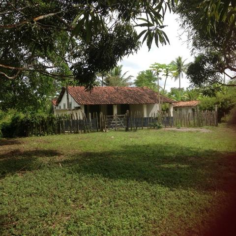 Excelente - Fazenda Espopa - Foto 6