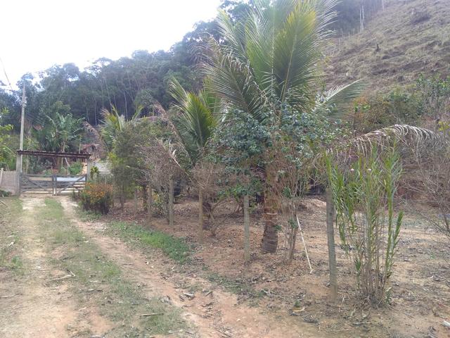 Vendo uma granja - Foto 8