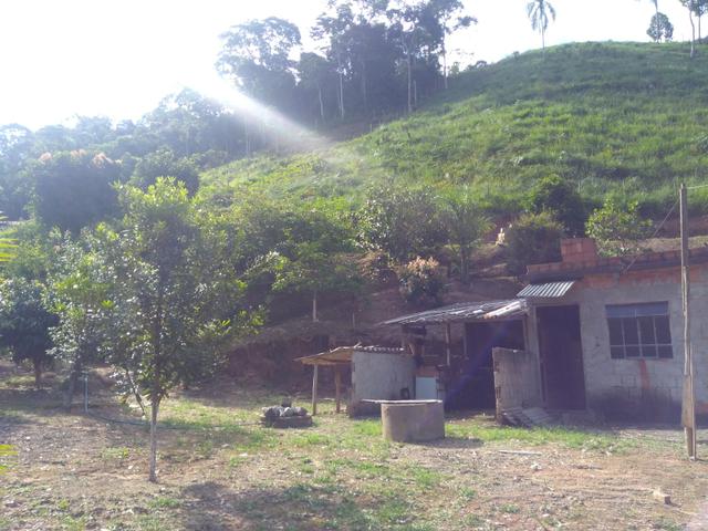 Vendo uma granja - Foto 6