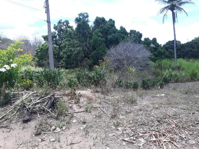 Vende-se um sítio em bom jardim - Foto 16