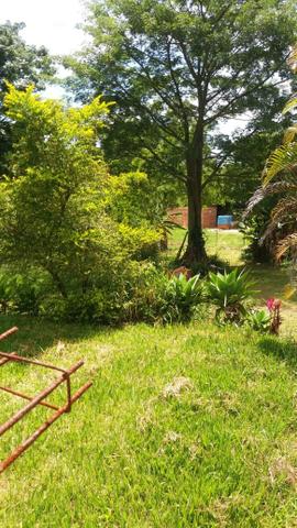Vendo Granja 2.200m² - Foto 2
