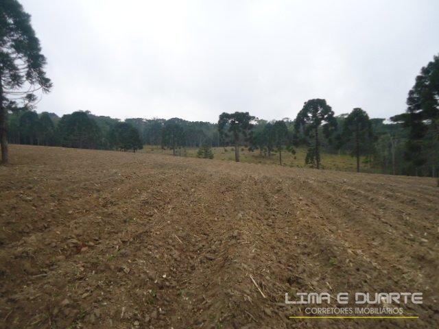 Chácara à venda em Bituvinha, Mafra cod:216CH - Foto 16