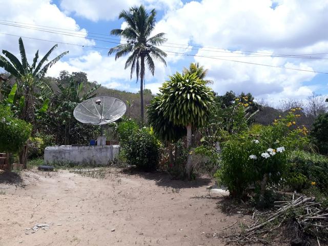 Vende-se um sítio em bom jardim - Foto 13