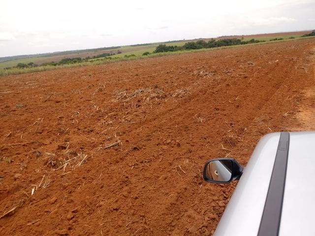 Excelente fazenda cultura pura - Foto 4