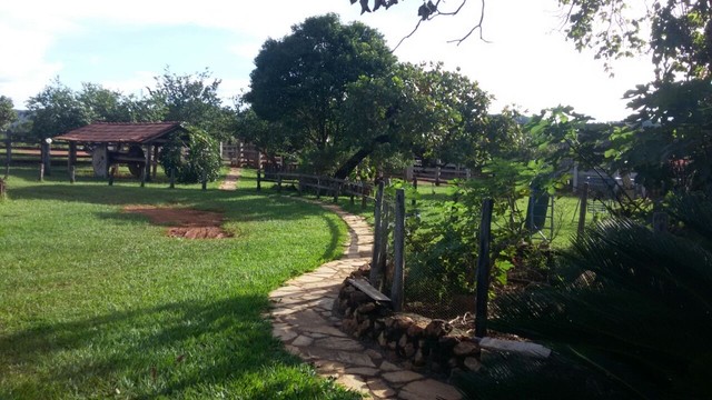Fazenda 520 hectares em Taguatinga DF