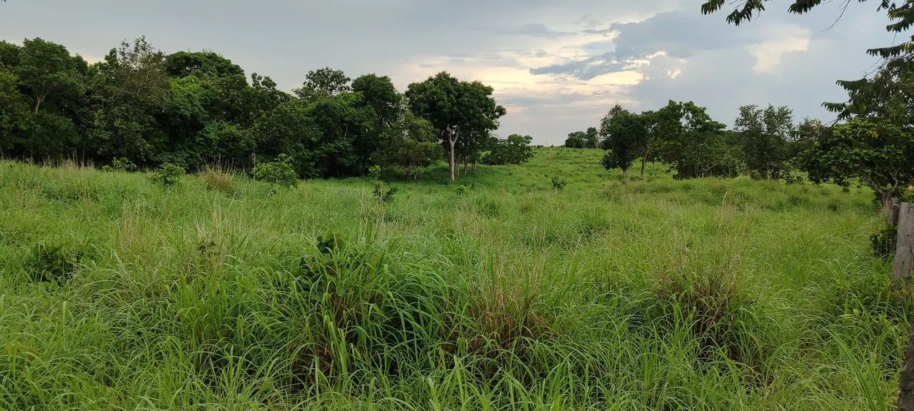 Chácara em buriti de Goiás 