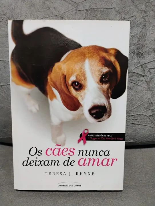 Os cães nunca deixam de amar