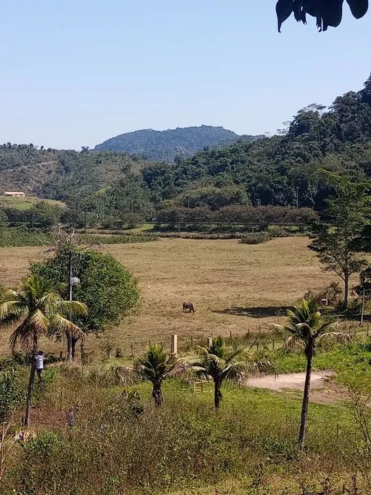 foto - Magé - Jardim da Paz (Guia de Pacobaíba)