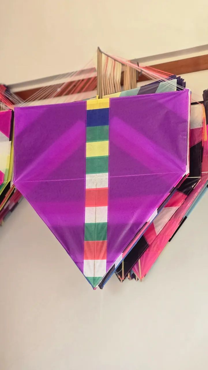 Papagaios e Rabiolas - Foto 5