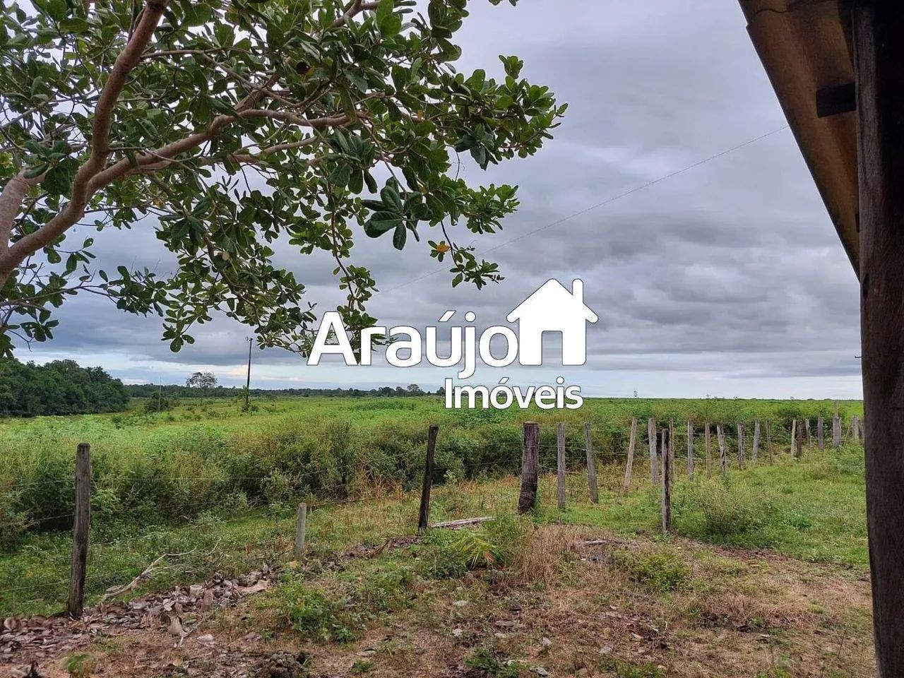 Fazenda, Setor Central, Divinópolis do Tocantins - R$ 17 mi, Cod: 2463 - Foto 3