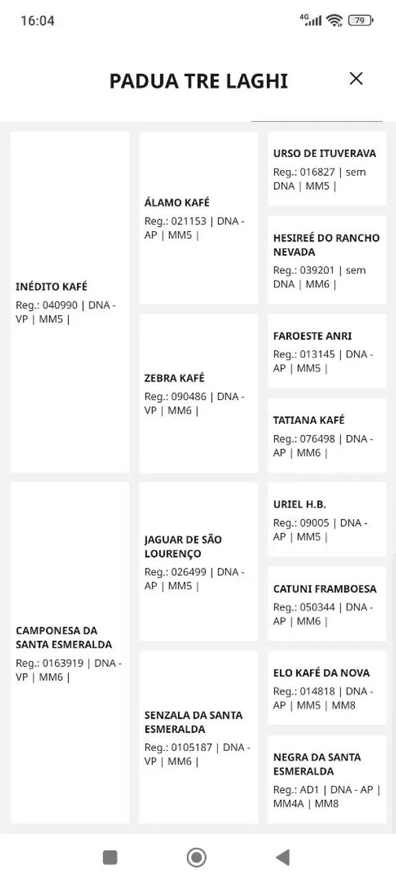 Potra mm registrada  - Foto 4